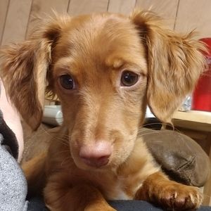 Meet your Posher, Natasha